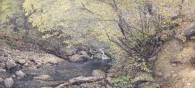 黄有维水彩画高清图集1的油画作品-森林-4