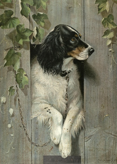 GO DOG犬题材油画高清图的油画作品-GODOG犬题材第二季1501=02