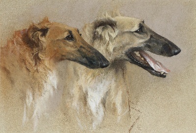 GO DOG犬题材油画高清图的油画作品-GODOG犬题材第二季1501=70