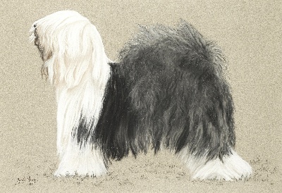 GO DOG犬题材油画高清图的油画作品-GODOG犬题材第二季1501=80