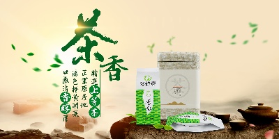 _茶类农产品海报.psd格式的PSD模板-TimiPS_茶类海报模板 (43)