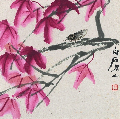 历代国画.源文件.花果草虫二四开册页25张的国画作品-1085-白石老人花果草虫册-红叶知了图