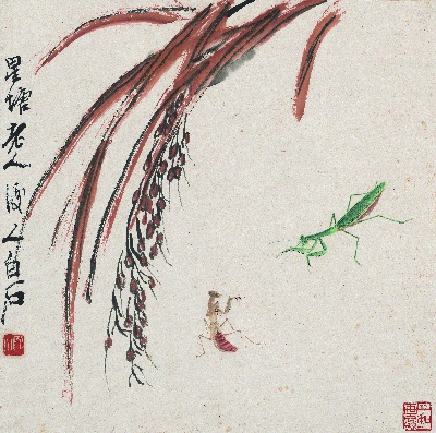 历代国画.源文件.花果草虫二四开册页25张的国画作品-1085-白石老人花果草虫册-蚱蜢螳螂图