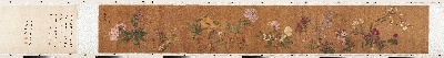 国画印刷版.元.王渊的国画作品--王渊 杂花图卷 绢本247.7 x32