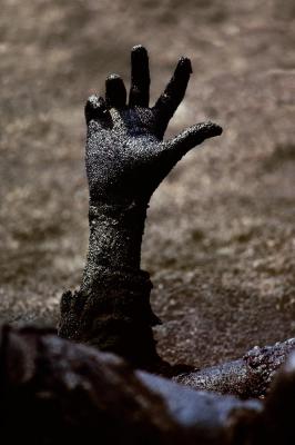 其他.史蒂夫·麦凯瑞SteveMcCurry下集Contrast & Clarity 12的摄影作品
