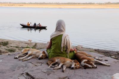 其他.史蒂夫·麦凯瑞SteveMcCurry下集Lost in Thought 16的摄影作品