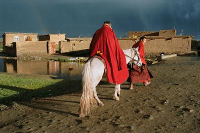 其他.史蒂夫·麦凯瑞SteveMcCurry上集HORSES AND HUMANS 21的摄影作品