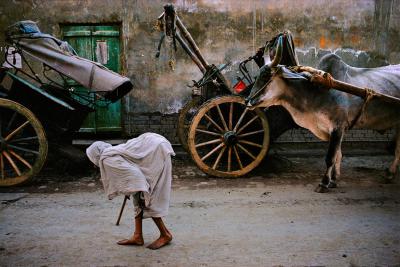其他.史蒂夫·麦凯瑞SteveMcCurry上集Seeing Double 27的摄影作品