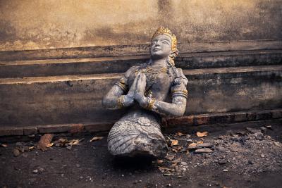 其他.史蒂夫·麦凯瑞SteveMcCurry上集Still Life 26的摄影作品
