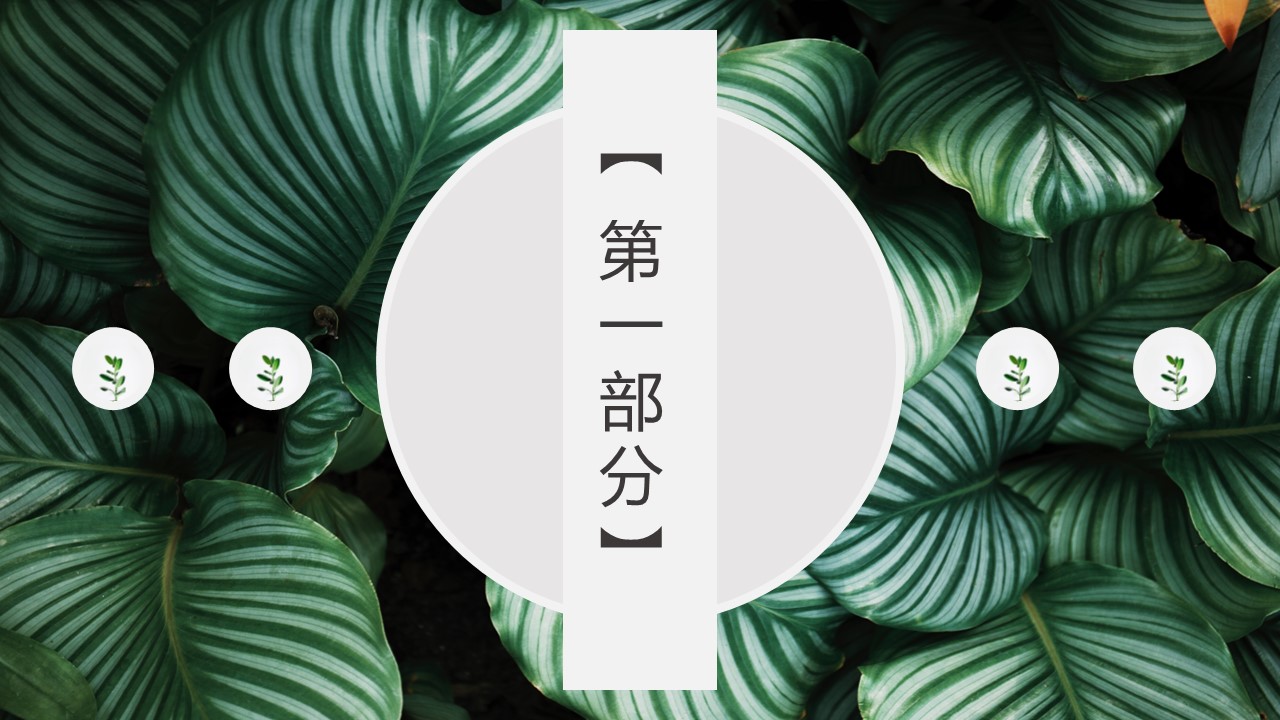商务.PPT模板19的PPT模板-3/33