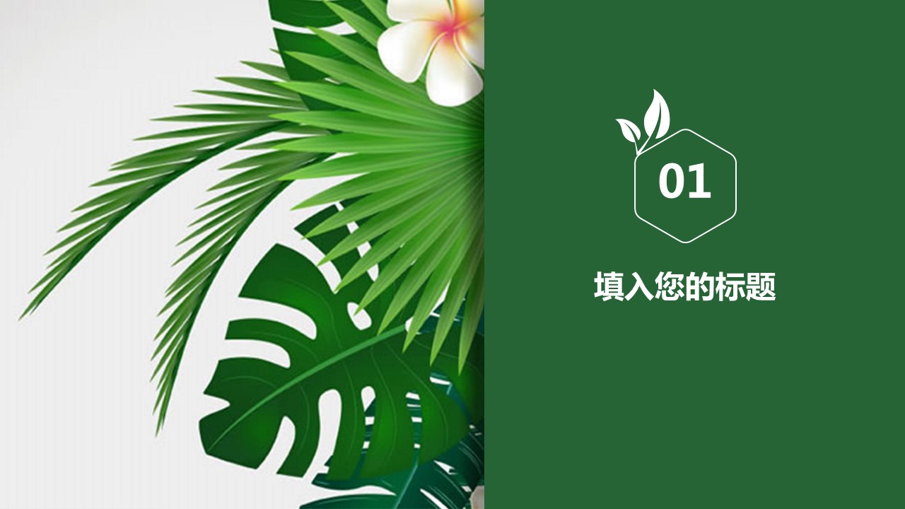 商务.文艺清新清新植物ppt模板多种用途——图文的PPT模板-3/37