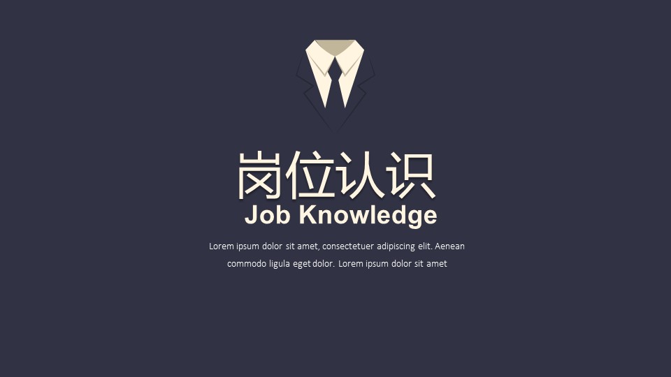 商务.页面展示ppt11的PPT模板-6/22