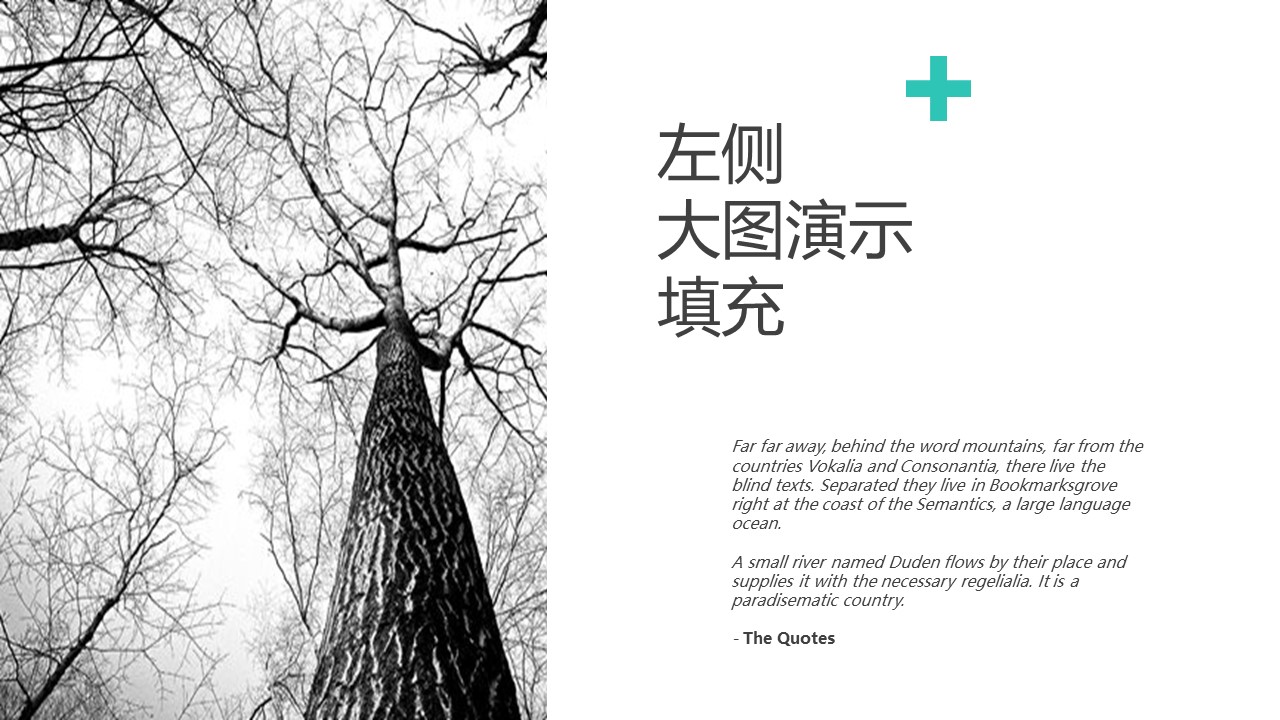 Z46商务风极简约欧美英文时尚行业清新大气时装服装素材 ppt动态模板. 欧美英语简约PPT模板.动态PPT.ppt源文件.1 12的PPT模板-6/51