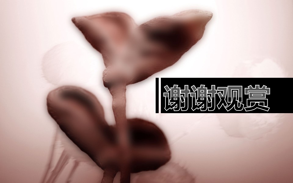 图文-中国风PPT.图文-模板73的PPT模板-4/10