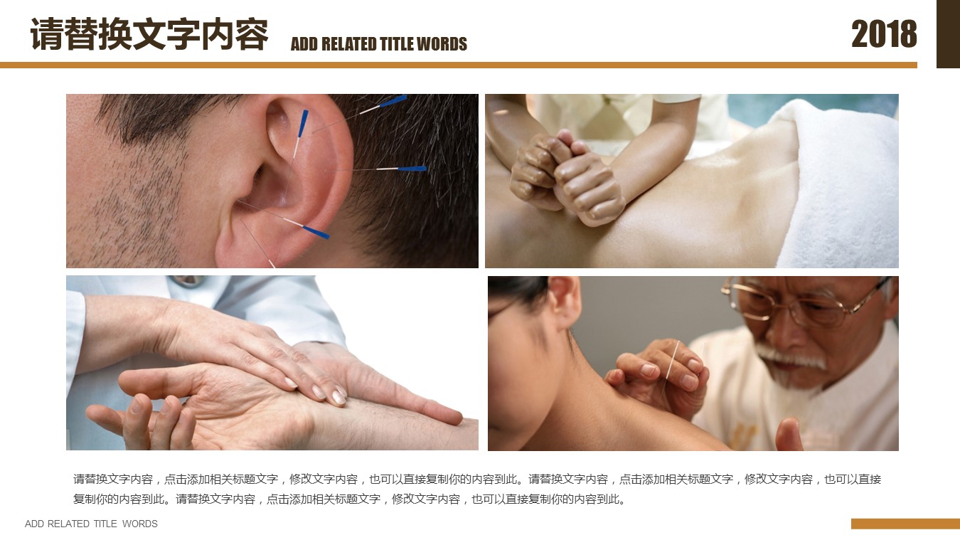 中药医学PPT（二选一）.B197-中药医学PPT.PPT文件及预览图.51的PPT模板-4/30