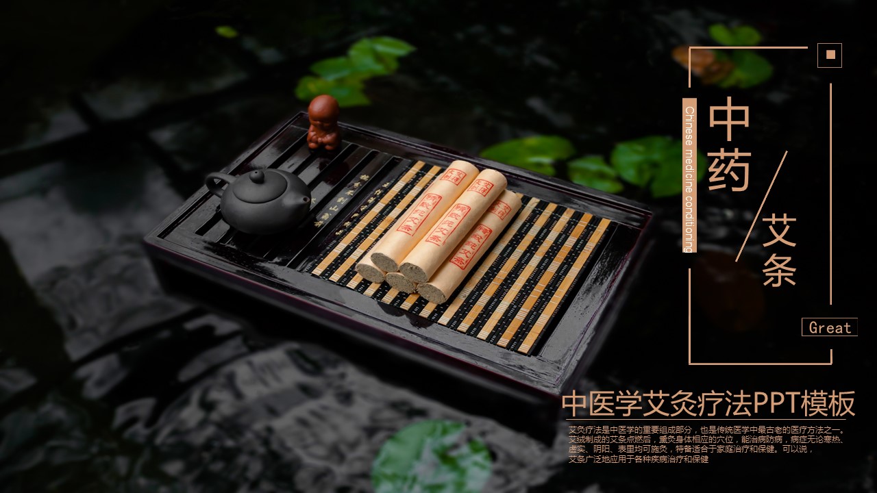 中药医学PPT（二选一）.B197-中药医学PPT.页面描述文件.2的PPT模板-1/29