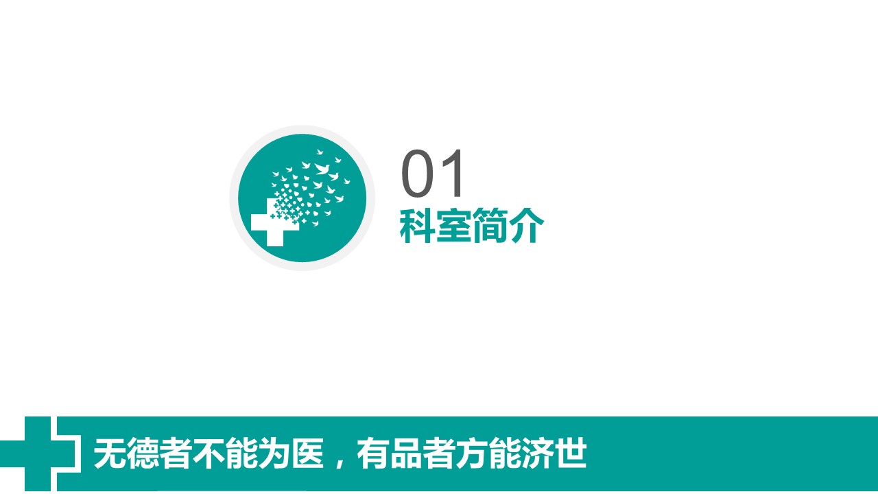未压缩版-无需重复下载.02医学PPT.医疗护理 142的PPT模板-3/65