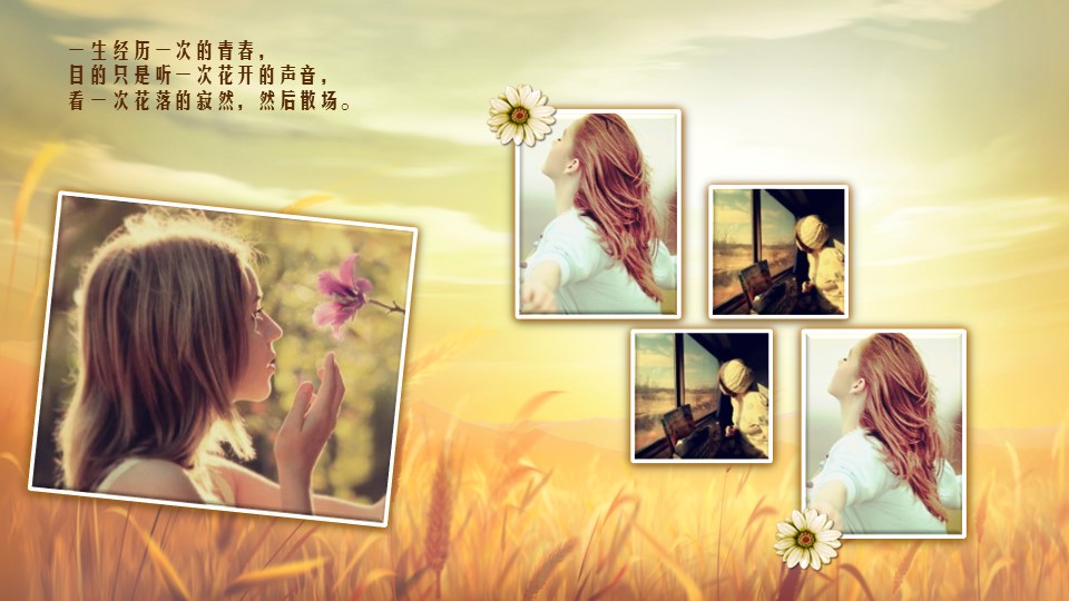 怀旧青春同学会PPT合集.H001青春同学会PPT-030的PPT模板-4/25