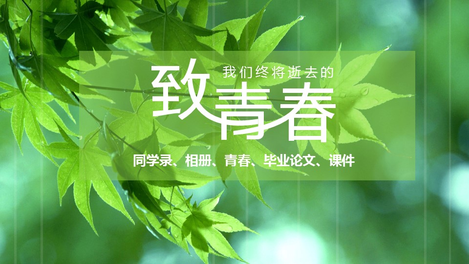 同学会.03-毕业季相册PPT模板.青春毕业季模板47款（一）.A1 2的PPT模板-1/30