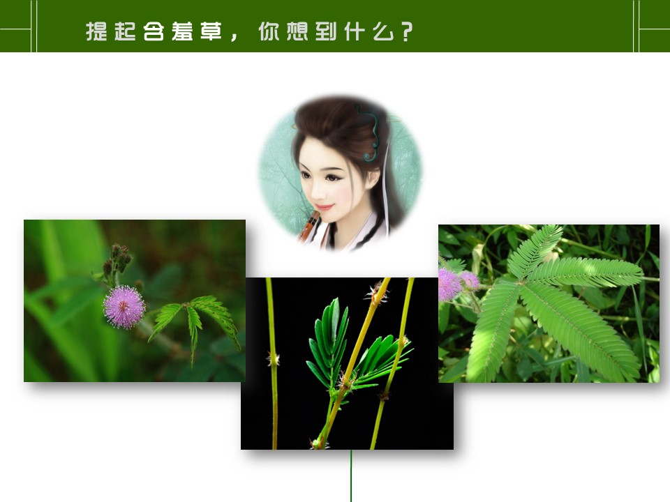 新增精品卡通可爱儿童ppt.静态.K001卡通儿童PPT-053的PPT模板-3/17