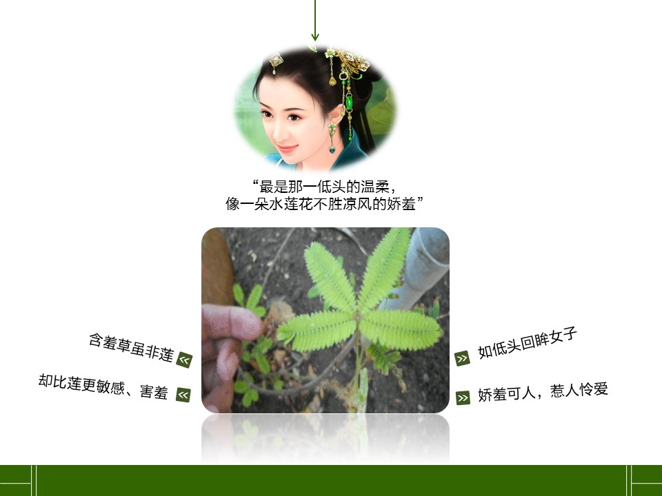 新增精品卡通可爱儿童ppt.静态.K001卡通儿童PPT-053的PPT模板-4/17