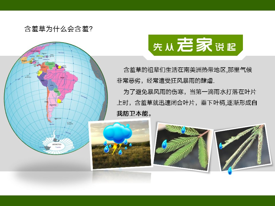 新增精品卡通可爱儿童ppt.静态.K001卡通儿童PPT-053的PPT模板-6/17