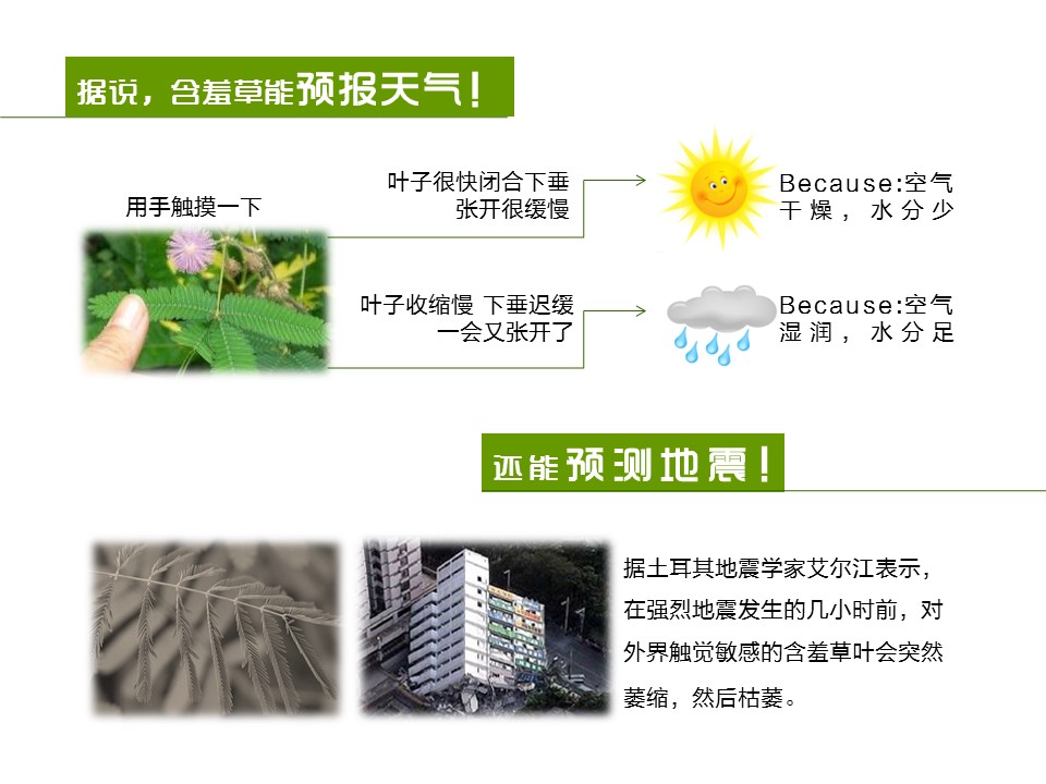 新增精品卡通可爱儿童ppt.静态.K001卡通儿童PPT-053的PPT模板-8/17