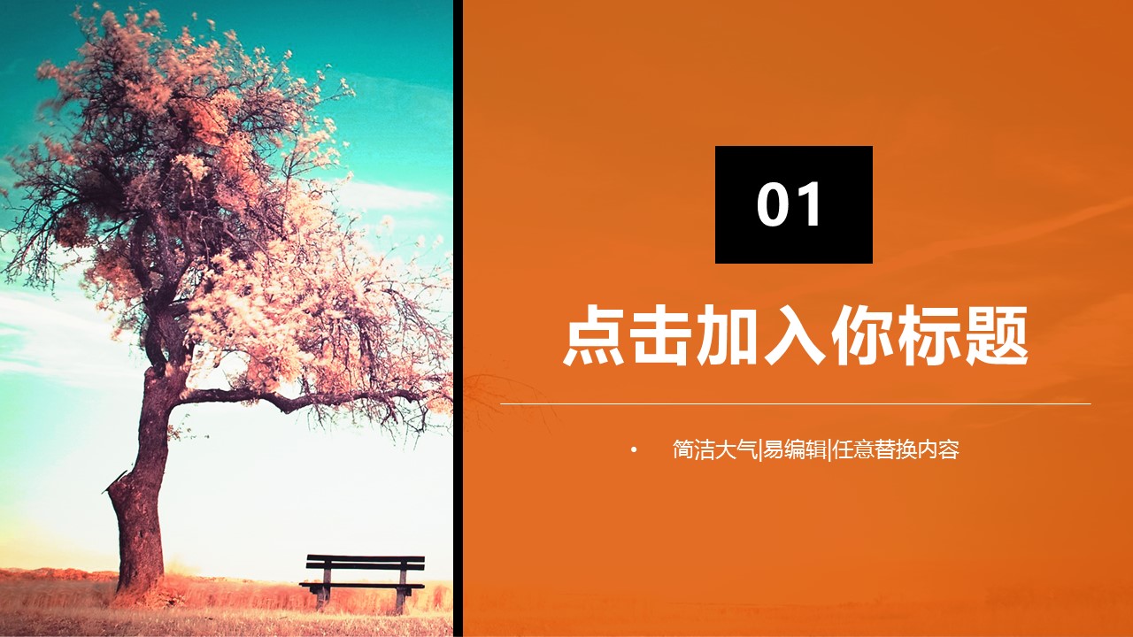 旅游相册.30M的PPT模板-3/31