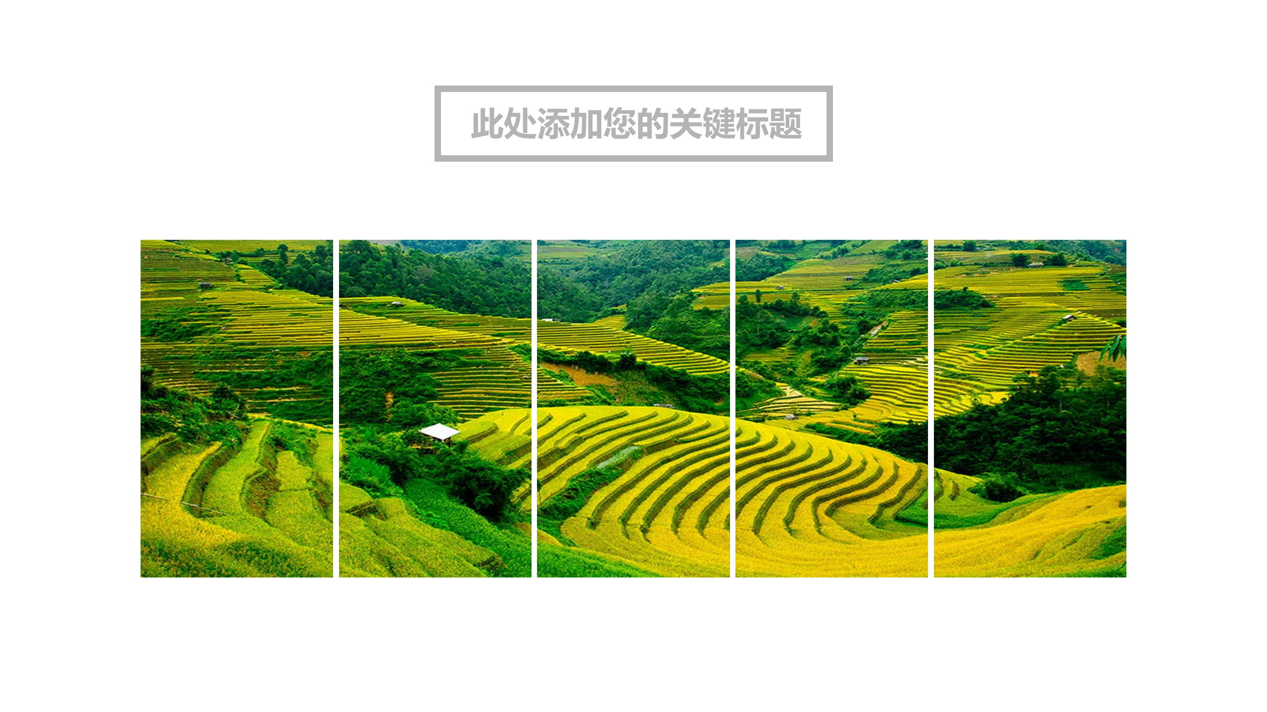 高端图片展示旅游相册旅游日记可一键换图的PPT模板-8/32