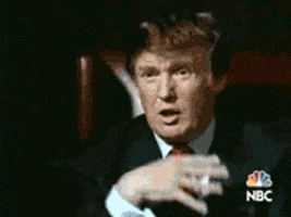特朗普的gif-donald trump GIF