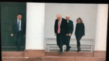 特朗普的gif-trump donald GIF