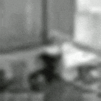 普京的gif-news quit GIF
