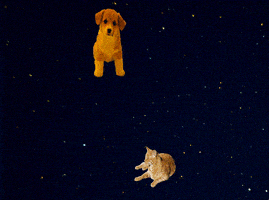 喵星人的gif-cat space GIF
