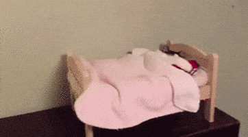 喵星人的gif-cat bed GIF