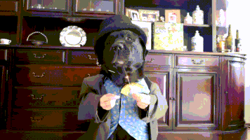 汪汪的gif-new year goodbye GIF