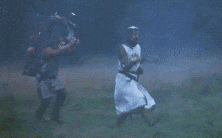 每日GIF(2020-04-10)的gif-Monty Python Movie GIF