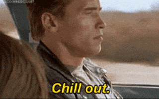 每日GIF(2020-04-10)的gif-Chill Out Terminator GIF