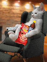 在家上班的gif-Bored Work From Home GIF