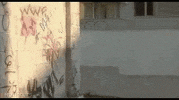 惊吓的gif-scared death GIF
