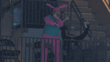每日GIF(2020-04-14)的gif-Charlotte Hornets Basketball GIF by NBA
