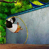 熊猫的gif-china film GIF
