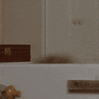 哈喽的gif-Robin Williams Hello GIF by 20th Century Fox Home Entertainment