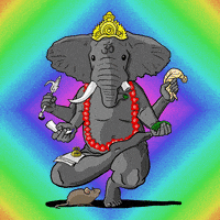 每日GIF(2020-04-21)的gif-Elephant Om GIF by Challenger