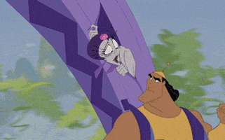 你说的都对的gif-emperors new groove shrug GIF