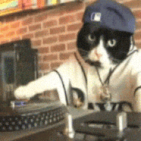 好玩的gif-fun dj GIF