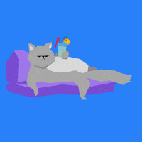 好玩的gif-Cat Ok GIF by Slanted Studios