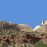 イトウケイジ的gif的gif-Shy Dog in Nevada!