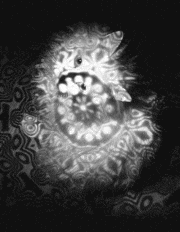 yoshing_BT的gif的gif-しろねこLightBLaster