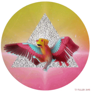 TJ Fuller的gif的gif-ƒl¥ing ∂øG