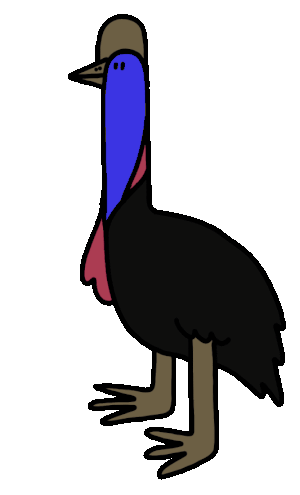 CsaK的gif的gif-cassowary
